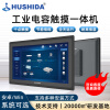 互视达（HUSHIDA）19英寸工控一体机电容触摸触控屏全封闭嵌入式工业自动化广告机收银 Wini7 BGDR-19