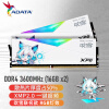 威刚（ADATA）D50 DDR4 3600 32GB (16G×2)套装 台式机内存 XPG龙耀-华硕吹雪联名RGB灯条