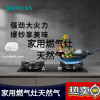 西门子（SIEMENS）嵌入式燃气灶5.2大火力厨房家用双灶玻璃天然气8PF233 黑色 天然气