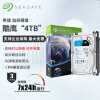 希捷(Seagate)监控硬盘4TB 256MB SATA 垂直 机械 PMR CMR 希捷酷鹰SkyHawk ST4000VX016