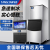 氧恋制冰机商用制冰机冰块机奶茶店小型迷你全自动大型方冰机 95kg蓝光款（60颗）直角