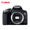 佳能（Canon）EOS 850D 单反相机（约2410万像素/轻松体验单反）单机身/不含镜头（256G卡+备电+三脚架套装）