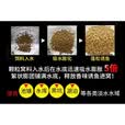 乐加酷原塘颗粒高蛋白窝料水库垂钓黑坑颗粒鱼饵料野钓鲫鱼鲤鱼草鱼窝料 原糖颗粒腥香两斤装