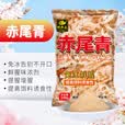 钓鱼王赤尾青免冷冻鱼饵鲫鲤鱼罗非鱼饵黑坑鲜腥虾肉粉饵料