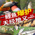 钓鱼王春夏鲫鱼饵料黑坑通杀鲫鱼大板鲫浓腥香钓鱼饵料野钓四季通杀饵料 一包【鲫鱼魔饵】腥香组合