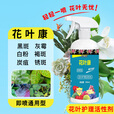 花病康喷雾花叶康护理活性剂花卉室内多肉灰霉叶斑黑斑白粉杀菌剂 花叶康300mL*2瓶+喷头1个
