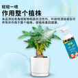 花病康喷雾花叶康护理活性剂花卉室内多肉灰霉叶斑黑斑白粉杀菌剂 花叶康300mL*2瓶+喷头1个