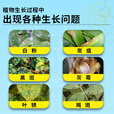 花病康喷雾花叶康护理活性剂花卉室内多肉灰霉叶斑黑斑白粉杀菌剂 花叶康300mL*2瓶+喷头1个