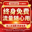 纽曼4g终身免流摄像头家用800万像素双向视频通话手机远程监控器360度无死角带夜视全景无需连wifi网络