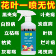花病康喷雾花叶康护理活性剂花卉室内多肉灰霉叶斑黑斑白粉杀菌剂 花叶康300mL*2瓶+喷头1个