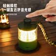 岚鹰（LANEAGLE）【氛围露营灯】铝合金露营灯心跳砝码户外LED超长续航充电小夜灯 太空银色砝码灯+USB充电线