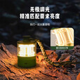 岚鹰（LANEAGLE）【氛围露营灯】铝合金露营灯心跳砝码户外LED超长续航充电小夜灯 太空银色砝码灯+USB充电线