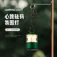 岚鹰（LANEAGLE）【氛围露营灯】铝合金露营灯心跳砝码户外LED超长续航充电小夜灯 太空银色砝码灯+USB充电线