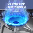 岩谷（Iwatani）户外便携式卡式炉卡磁炉瓦斯炉家用火锅炉具烧烤炉卡斯炉野炊套装 ZB-19卡式炉【定制银】