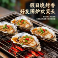 皇驰果木炭 烧烤木炭 烧烤碳 果木碳 烧烤炭 取暖烧烤燃料5斤