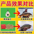 2025新款钓鱼神器黑科技全自动水下诱鱼灯集鱼灯聚笼超声波探鱼器 单个【免打窝】体验装 红色/绿色/蓝色/七色【需要哪个颜色备注】默认红色