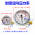 穗之语耐震压力表YN-100 0-1.6/25/40MPA抗防震油压液压100mpa上海杭州 标准螺纹M20*1.5