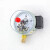 定制红旗仪表  电接点压力表 0-1.6MPA水泵水塔控制器 双上下限和非标螺纹请联系客服