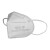 GUANJIE固安捷 G9521 KN95耳带式折叠口罩（单片盒装）50只/袋 *1袋