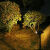 太阳能射灯庭院公园照树灯草坪插地灯户外防水花园景观地插20灯射灯白光6000K 10灯射灯彩光-RGB