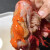 鹿凌青 深海红魔虾特大鲜活刺身级低温甜虾莫桑比克甜虾刺身生吃海鲜 500g  (大红1斤10-13只)