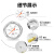 红旗(HongQi) YTN-100ZT系列1.6级弹簧管耐震压力表轴向0~0.25mpa油压表气压表M20*1.5螺纹	
