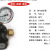 国胜 YQD-06氮气减压器（大体） YQD-06氮气减压器（小体） 