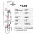 BSITN卫浴黄铜龙头淋浴花洒全套 喷枪花洒套装增压手持喷头套装B2011