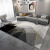 初构想（CHUGOUXIANG）现代地毯客厅简约轻奢茶几毯北欧卧室沙发2024新款家用地垫 简约10号款 140cmx200cm