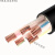 国标铜芯YJV2 3 4 5芯10 16 25 35平方室外工程电力电缆 电缆线 YJV4*16+1*10(10米)