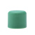 伟星 PPR 管材 管件25 6分配件 PPR水管配件水暖管件 管帽25/6分 绿色【30个装】