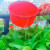 环绿 工业塑料水勺 加厚水勺水瓢 耐摔塑料水舀水壳 小号185*105