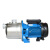 水泵BJZ全自动增压泵不锈钢自吸泵喷射泵自来水加压泵 BJZ150T 钢叶 1000W (380V)