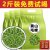 澳康华【2斤1000克】黄山毛峰正宗2023新茶口粮茶散装高山明前安徽毛尖 1000g