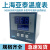 上海亚泰NE-6411V-2仪表温控器NE6000-2温控仪NE-5411数显温度表 NE-6411-2(N)报警常闭 K 400度