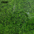 安赛瑞 泡沫拼接地垫 泡沫拼图防滑地垫 60×60cm 4片装 满铺地垫脚垫 嫩绿色  27252