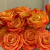 欢乐颂 单头玫瑰 生活鲜花家庭养花 10枝*1束 B级10枝