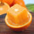奉节忠州新鲜脐橙夏橙补维c奶茶店便宜薄皮水果大中小果商用批发 70mm以上 大果 9斤