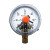 杭州富阳东方YXC-100磁助式电接点压力表真空表上下限控制开关型 24V触点定制