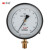 红旗 YB-150精密压力表水压表空气压表高精度真空压力表液压精度0.4,M20*1.5,径向 0-1.6MPA 