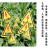 沪凛威 电力安全标识 pvc 三角形电力安全标志 红闪当心触电25*25cm*50张