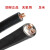 恒飞电缆（HengFeiCable） 聚乙烯交联绝缘电力电缆 YJV-0.6/1kV-3*50+2*25 黑色 10m