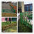 不锈钢仿竹护栏景区庭院园林公园市政围墙新农村建设竹节围栏定制 20米高每米价格颜色黄绿