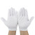 SPEEDWATTX 白棉手套 作业手套礼仪白手套棉+氨纶手套  12双/包 均码