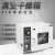 真空烘箱干燥箱电热恒温箱实验室用工业烤箱加热试验箱老化烘干机 DZF-6090B+泵(双极4L)