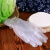 鸣固 一次性手套 耐用PVC手套家务餐饮用厨房清洁加厚防护手套 透明100只 M码