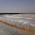 威厉固得 农用透明小拱棚 塑料膜塑料布地膜保温薄膜蔬菜大棚内棚育苗膜 宽2.2米*长约95米*厚4丝 10kg/卷