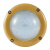 佛山照明（FSL）防爆灯FBD0109 40W 6500K白光 IP66 220V 黄色(计价单位：盏)