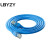 LBYZY TYZ037 CAT6非屏蔽 成品网络线 5米 蓝 (20条起订)