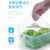 家の物语（KATEI STORY）日本进口保鲜盒带盖食品级冰箱专用冷冻收纳盒水果盒蔬菜小饭盒 冰箱冷冻收纳盒 3件套 3L